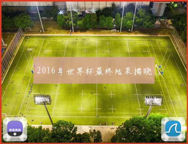 2016年世界杯最终结果揭晓