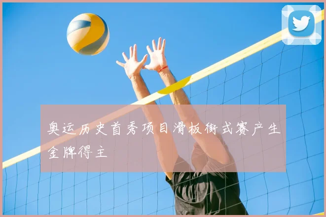 奥运历史首秀项目滑板街式赛产生金牌得主