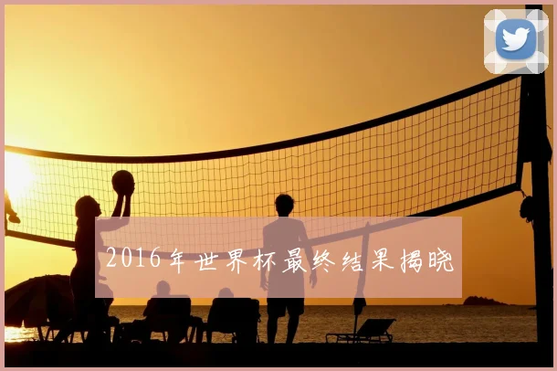 2016年世界杯最终结果揭晓