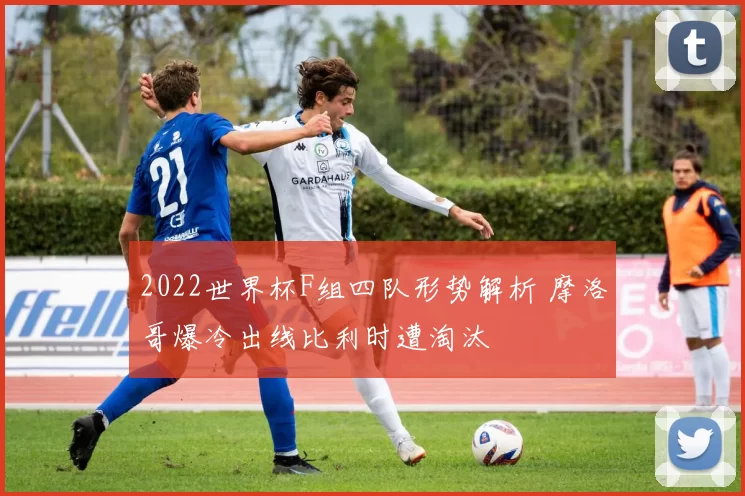 2022世界杯F组四队形势解析 摩洛哥爆冷出线比利时遭淘汰