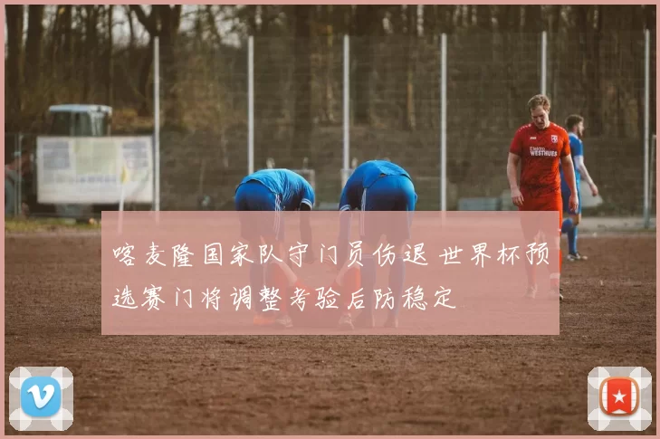 喀麦隆国家队守门员伤退 世界杯预选赛门将调整考验后防稳定