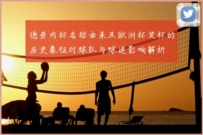 德劳内杯名称由来及欧洲杯奖杯的历史象征对球队与球迷影响解析