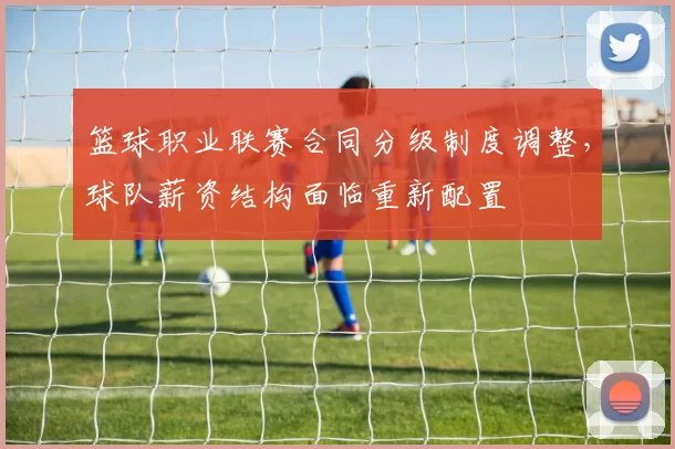 篮球职业联赛合同分级制度调整，球队薪资结构面临重新配置