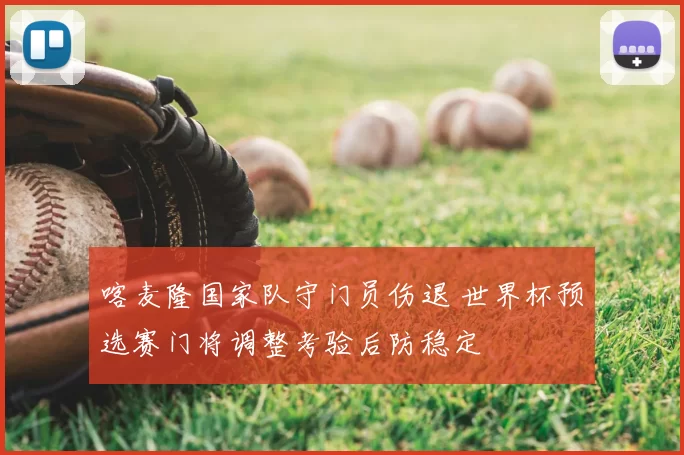 喀麦隆国家队守门员伤退 世界杯预选赛门将调整考验后防稳定