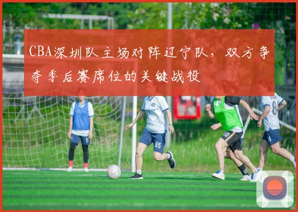 CBA深圳队主场对阵辽宁队，双方争夺季后赛席位的关键战役