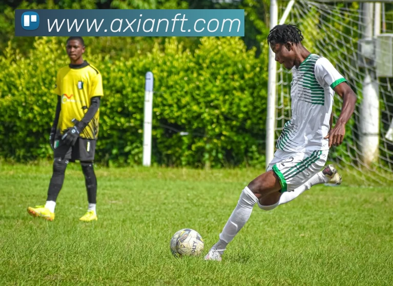 星空网官网登录入口平台生态图