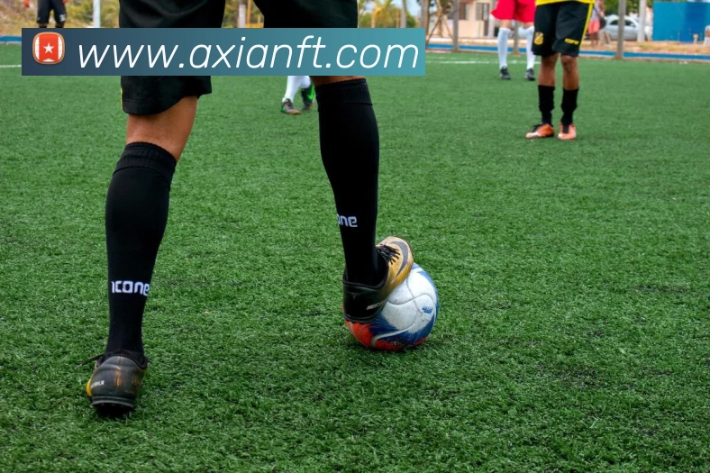 星空网官网登录入口全站App